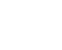 Grupo Bonacorsi